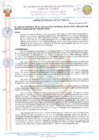 Vista preliminar de documento 21027