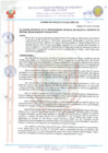 Vista preliminar de documento 21030