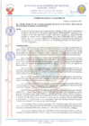 Vista preliminar de documento 21032