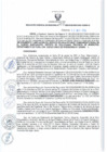 Vista preliminar de documento RGSR 313-2024