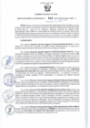 Vista preliminar de documento RGSR 315-2024