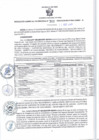 Vista preliminar de documento RGSR 319-2024