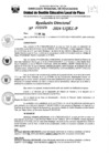 Vista preliminar de documento RD 29-2024