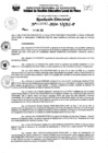 Vista preliminar de documento RD 42-2024