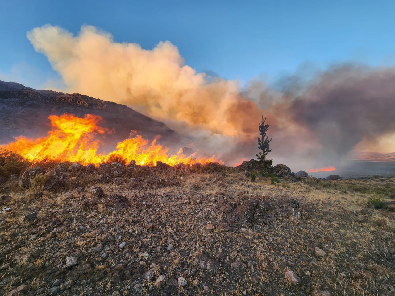 Incendio