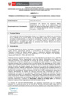 Vista preliminar de documento Términos de referencia y anexos
