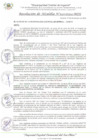 Vista preliminar de documento RA_343_2024_MDI