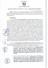 Vista preliminar de documento RGSR 331-2024