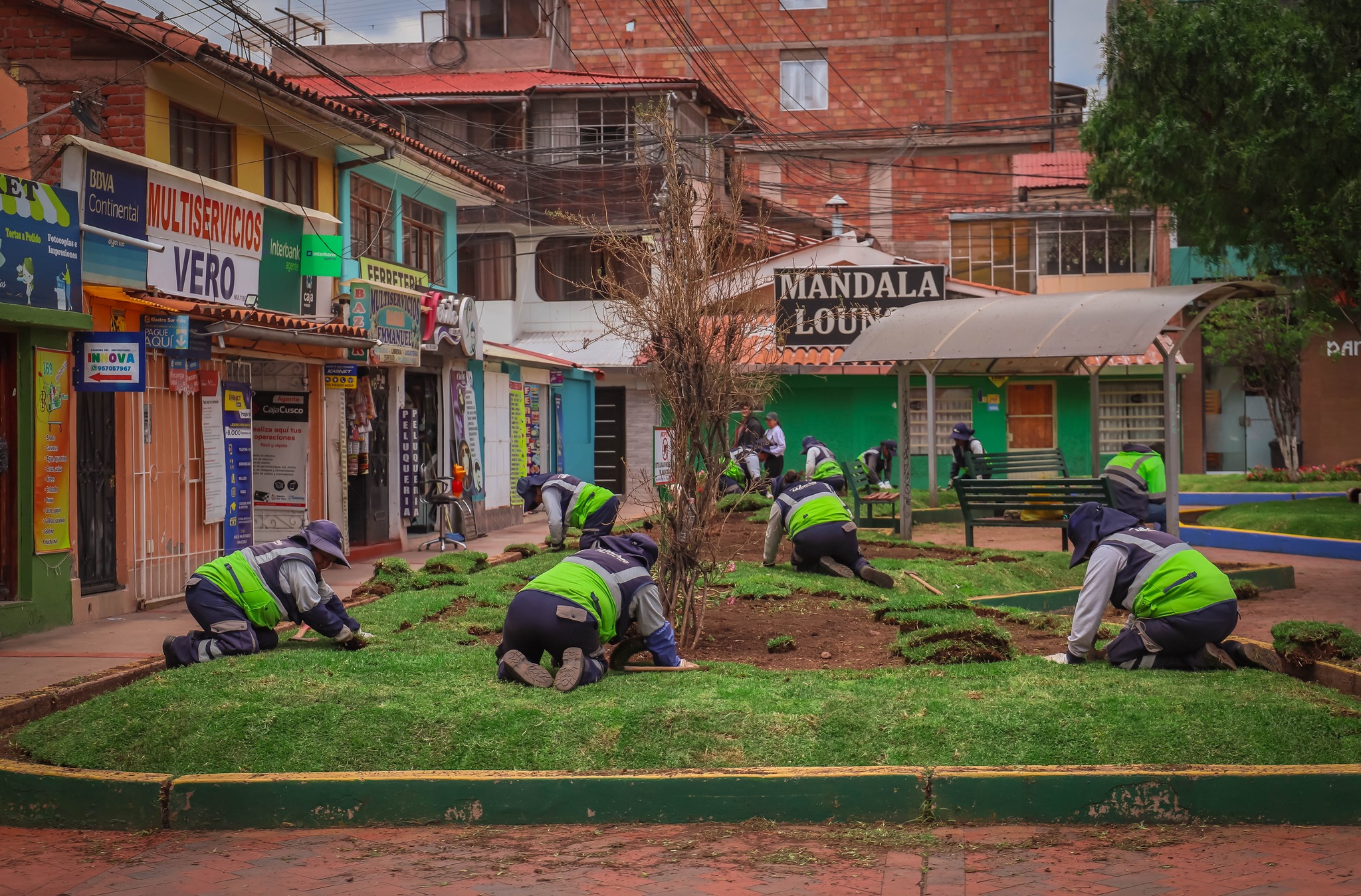 Recuperamos nuestros espacios verdes