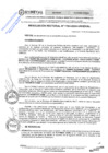 Vista preliminar de documento RES.RECT. N° 1163-2024-UNHEVAL