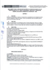 Vista preliminar de documento Reglamento del proceso de Elección