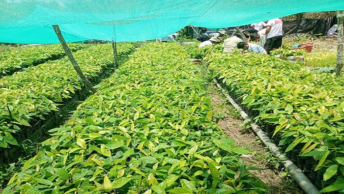 LGRANDE 2