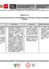 Vista preliminar de documento Anexo N° 1
