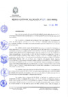 Vista preliminar de documento 0319-2013-MPHy