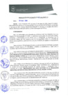 Vista preliminar de documento 0382-2013-MPHy