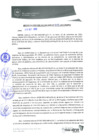 Vista preliminar de documento 0433-2013-MPHy