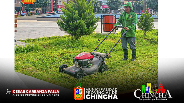 🔰El personal de la Unidad de Parques y Jardines de la Municipalidad Provincial de Chincha realizó el trabajo constante de mantenimiento de áreas verdes en la plaza mayor de Chincha, embelleciendo nuestro entorno verde para que nuestros ciudadanos y visitantes disfruten de estos espacios públicos.
Vecino chinchano cuidemos y mantengamos limpia nuestras áreas verdes y el ornato de nuestra ciudad.