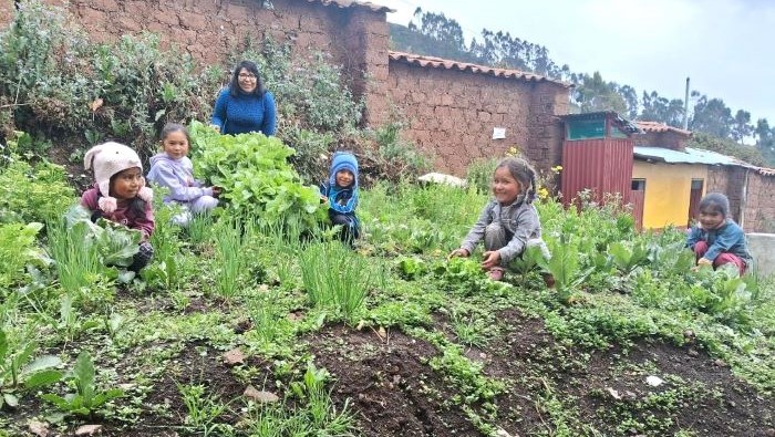 Biohuerto escolar impulsado por Qali Warma