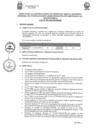 Vista preliminar de documento BASES CAS N°15_2024