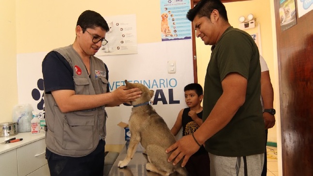 Atención veterinaria