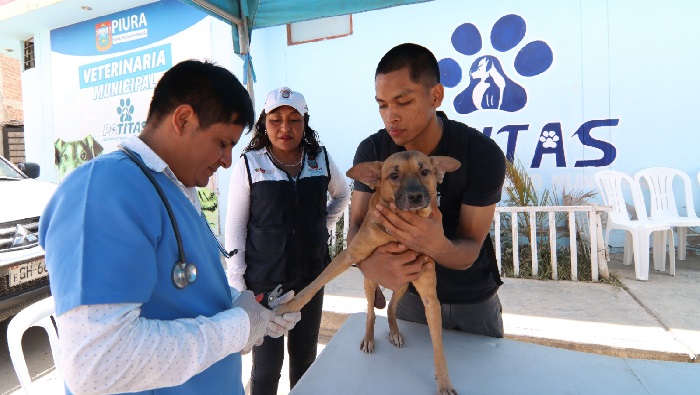 Veterinaria Municipal