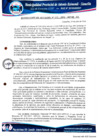 Vista preliminar de documento RA N° 132