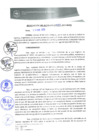 Vista preliminar de documento 0025-2015-MPHy