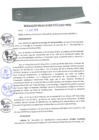 Vista preliminar de documento 0028-2015-MPHy