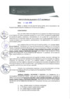 Vista preliminar de documento 0313-2015-MPHy