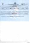 Vista preliminar de documento HR