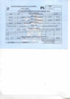 Vista preliminar de documento PU
