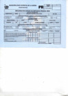 Vista preliminar de documento PR