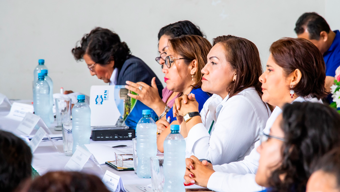 Comisi贸n de Inclusi贸n Social desarrolla Reuni贸n Desconcentrada en Tarapoto.