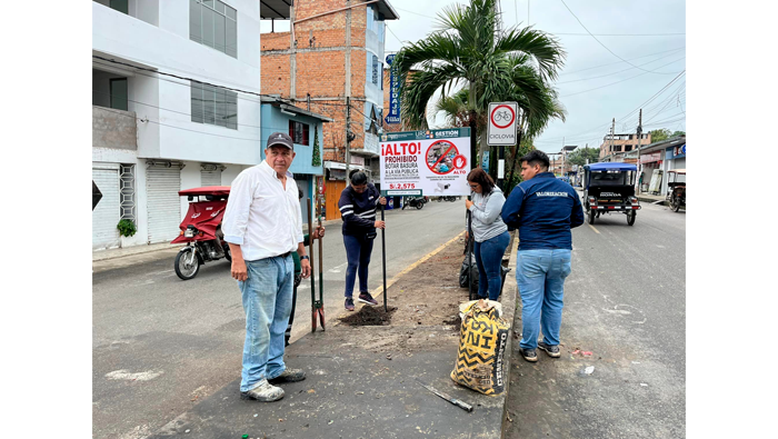 Jornada de limpieza, poda y sensibilizaci贸n en la AA.VV Lima Cdra. 06 - 10.