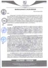 Vista preliminar de documento rgm529