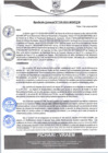 Vista preliminar de documento rgm539
