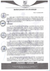 Vista preliminar de documento rgm547