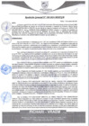 Vista preliminar de documento rgm549