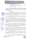Vista preliminar de documento 0018-2017-MPHy