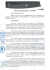 Vista preliminar de documento 0010-2017-MPHy