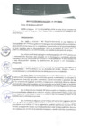 Vista preliminar de documento 0041-2017-MPHy