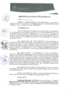 Vista preliminar de documento 0084-2017-MPHy