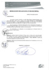 Vista preliminar de documento 0095-2017-MPHy