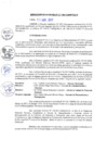Vista preliminar de documento 0101-2017-MPHy