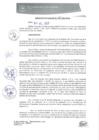 Vista preliminar de documento 0155-2017-MPHy