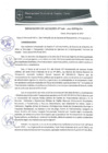 Vista preliminar de documento 0181-2017-MPHy