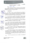 Vista preliminar de documento 0196-2017-MPHy