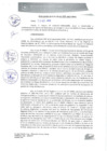 Vista preliminar de documento 0220-2017-MPHy