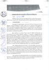 Vista preliminar de documento 0118-2018-MPHy