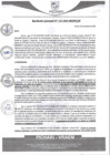 Vista preliminar de documento rgm552